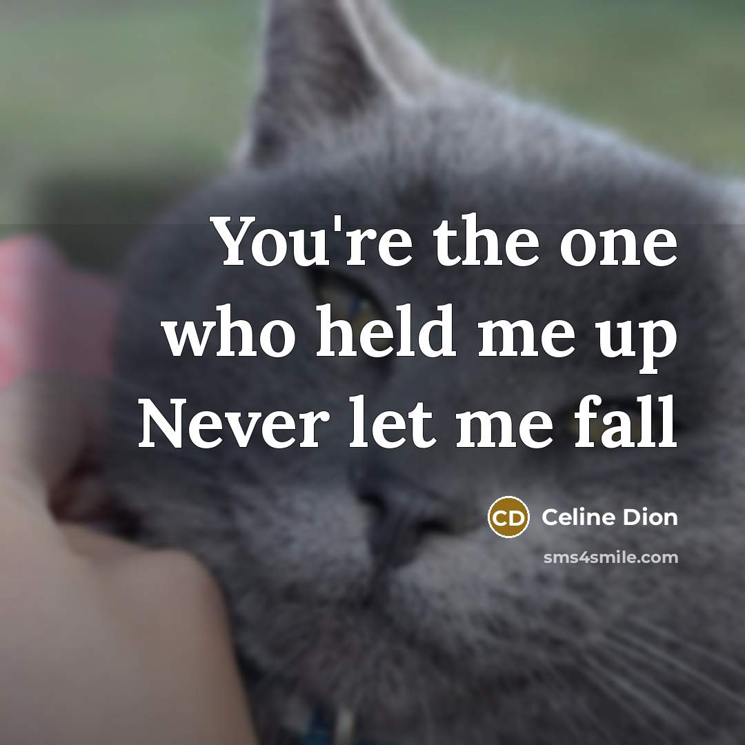 “You're the one who held me up Never let me fall” quote by Celine Dion