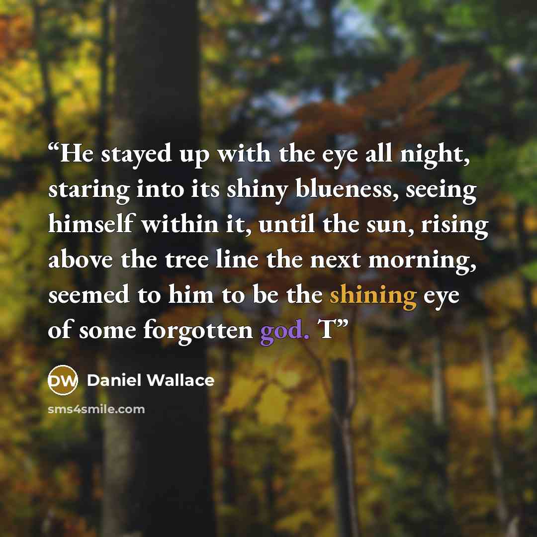 “He stayed up with the eye all night, staring into its shiny blueness, seeing himself within it, until the sun, rising above the tree line the next morning, seemed to him to be the shining eye of some forgotten god. T” quote by Daniel Wallace