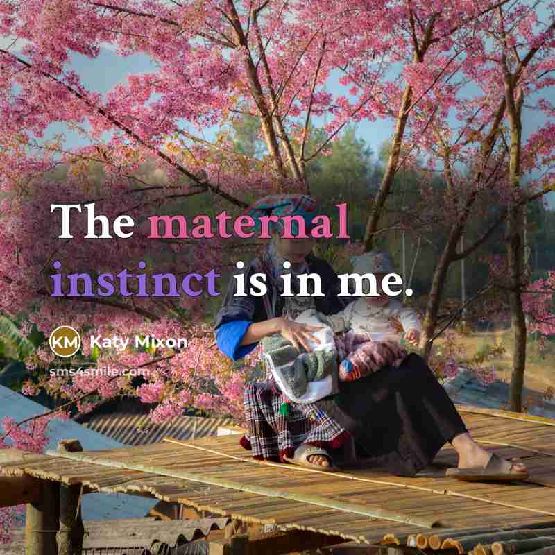 “The maternal instinct is in me.” quote by Katy Mixon