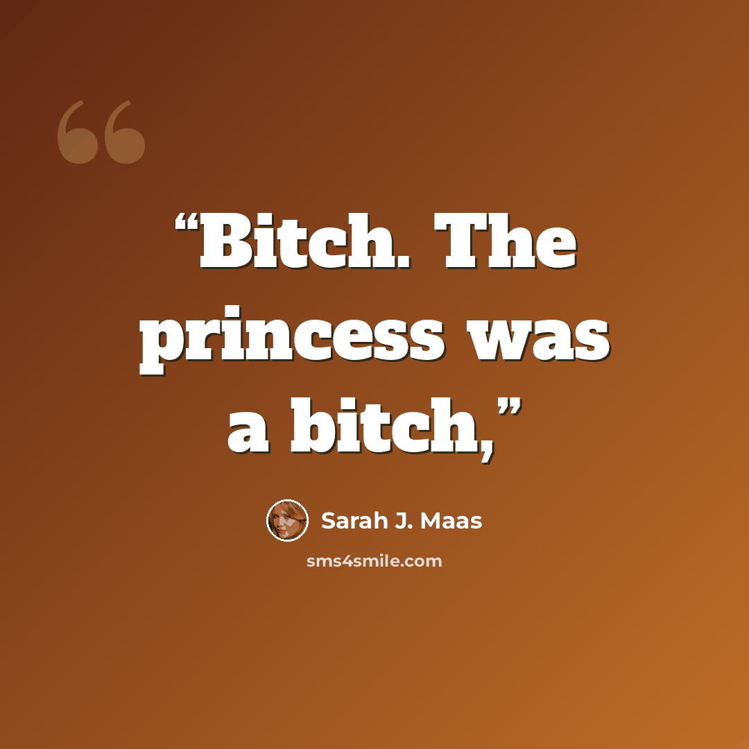 “Bitch. The princess was a bitch,” quote by Sarah J. Maas