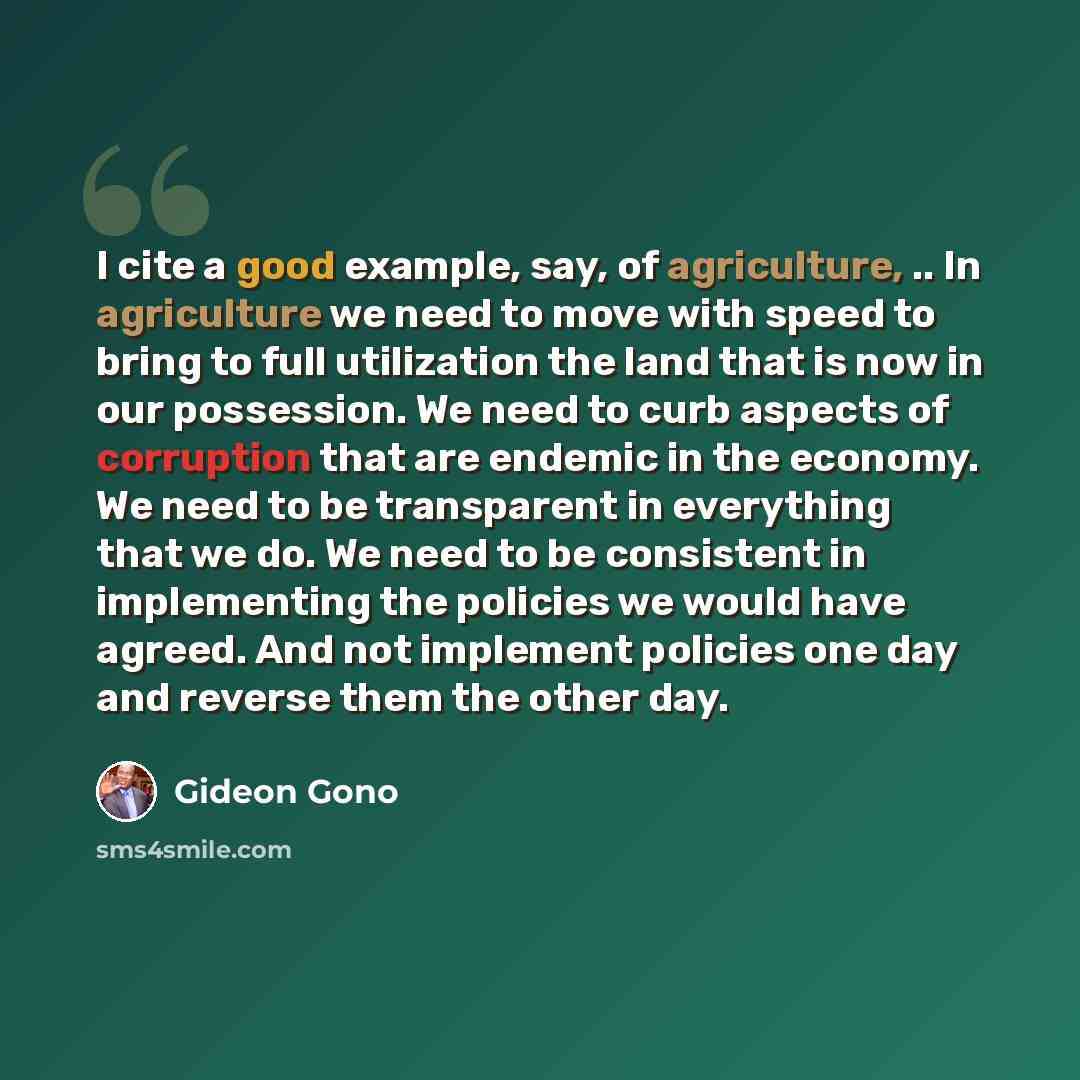 “I cite a good example, say, of agriculture, .. In agriculture we need to move with speed to bring to full utilization the land that is now in our possession. We need to curb aspects of corruption that are endemic in the economy. We need to be transparent in everything that we do. We need to be…” quote by Gideon Gono