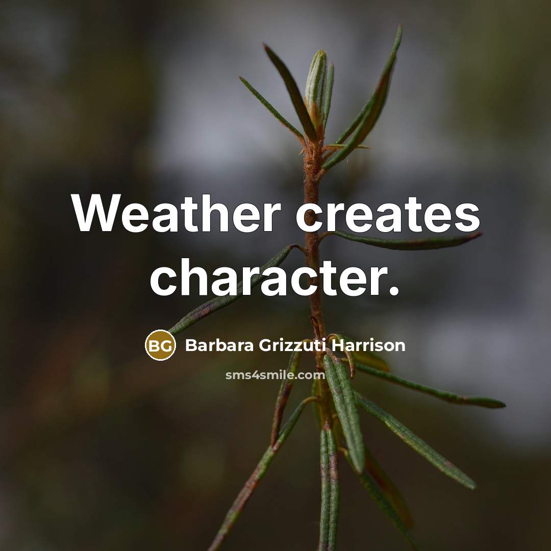 “Weather creates character.” quote by Barbara Grizzuti Harrison