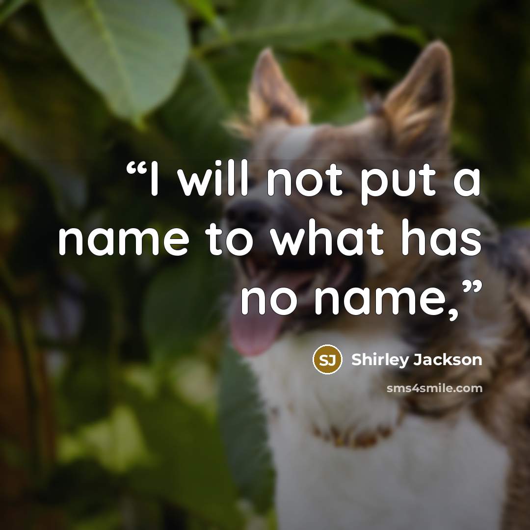 “I will not put a name to what has no name,” quote by Shirley Jackson