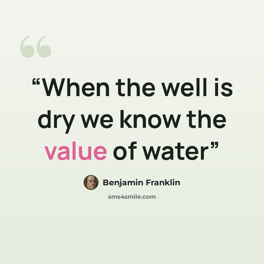 “When the well is dry we know the value of water” quote by Benjamin Franklin