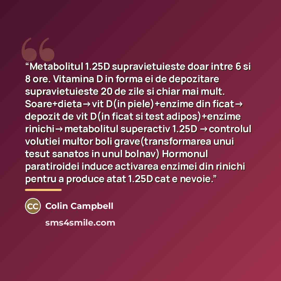 “Metabolitul 1.25D supravietuieste doar intre 6 si 8 ore. Vitamina D in forma ei de depozitare supravietuieste 20 de zile si chiar mai mult. Soare+dieta->vit D(in piele)+enzime din ficat-> depozit de vit D(in ficat si test adipos)+enzime rinichi->metabolitul superactiv 1.25D ->controlul volutiei…” quote by Colin Campbell
