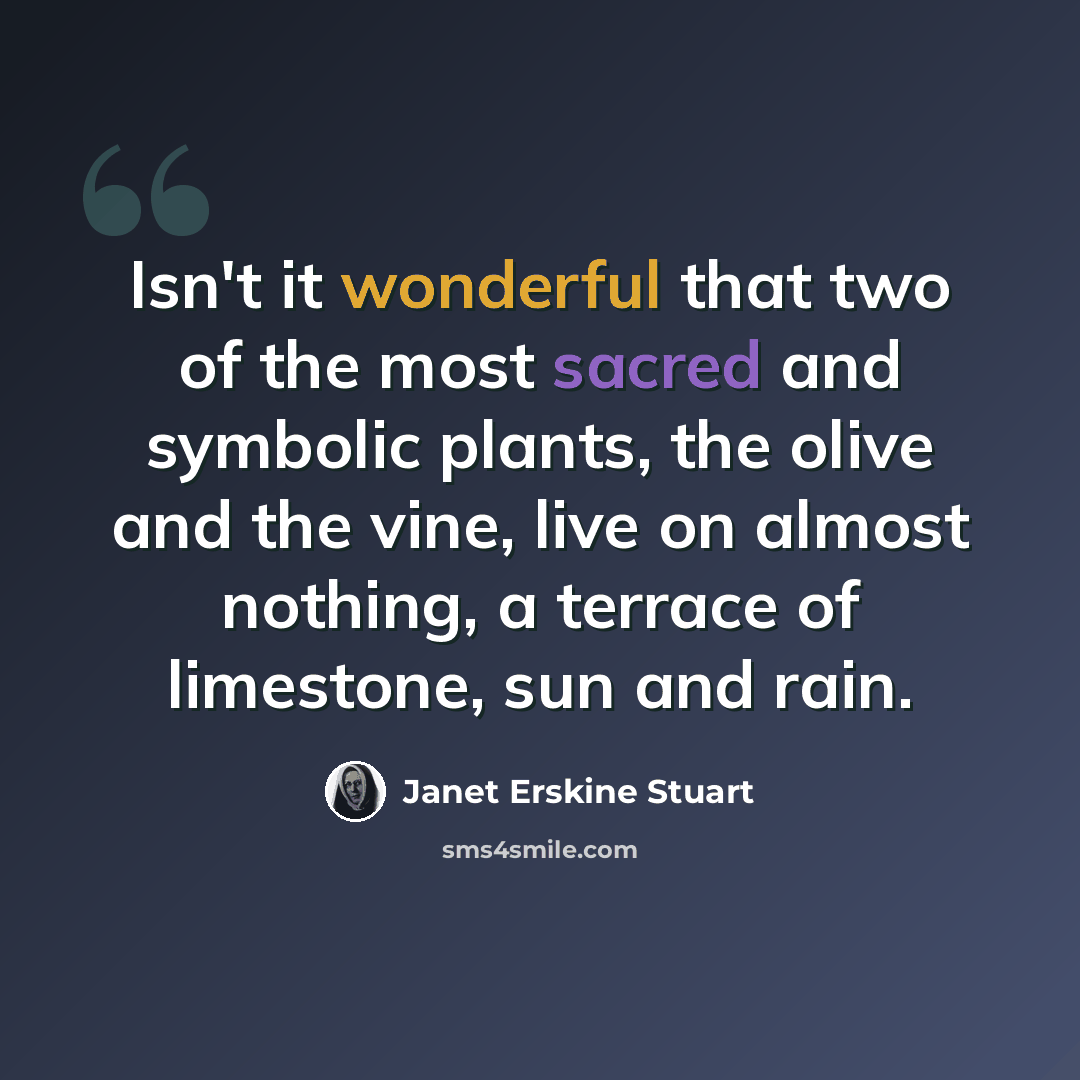 “Isn't it wonderful that two of the most sacred and symbolic plants, the olive and the vine, live on almost nothing, a terrace of limestone, sun and rain.” quote by Janet Erskine Stuart