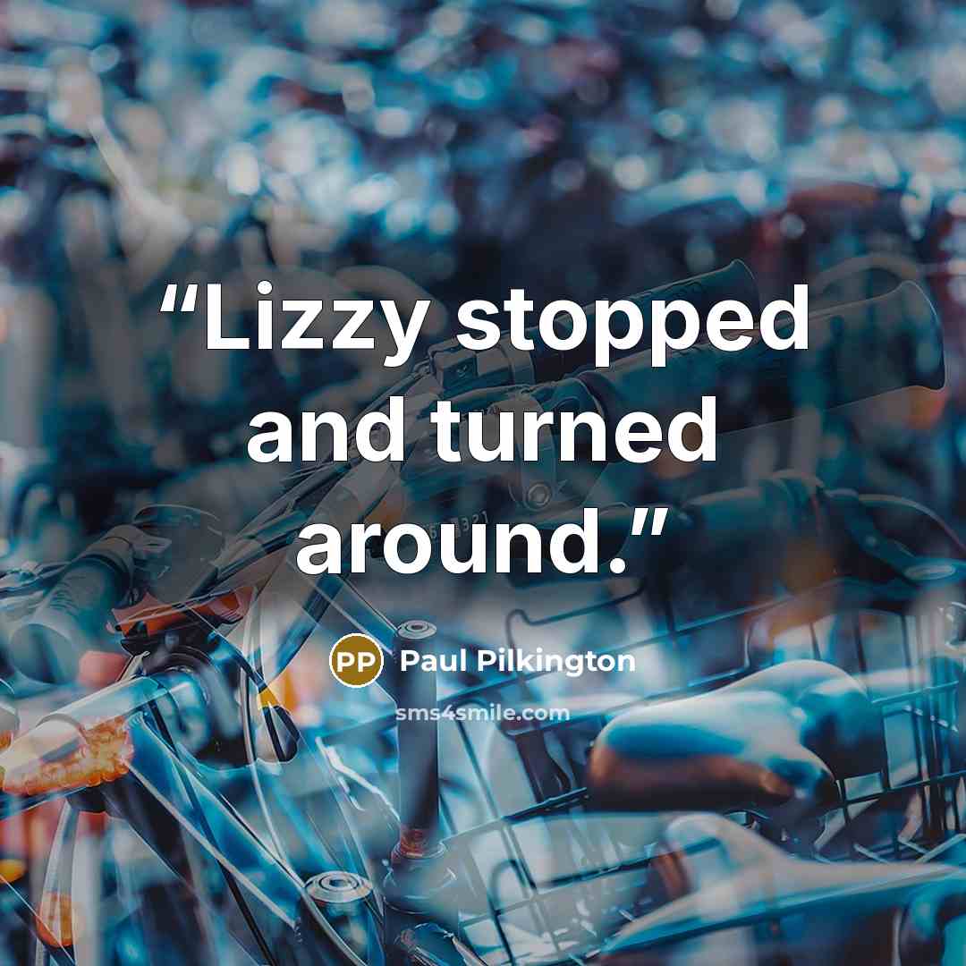 “Lizzy stopped and turned around.” quote by Paul Pilkington