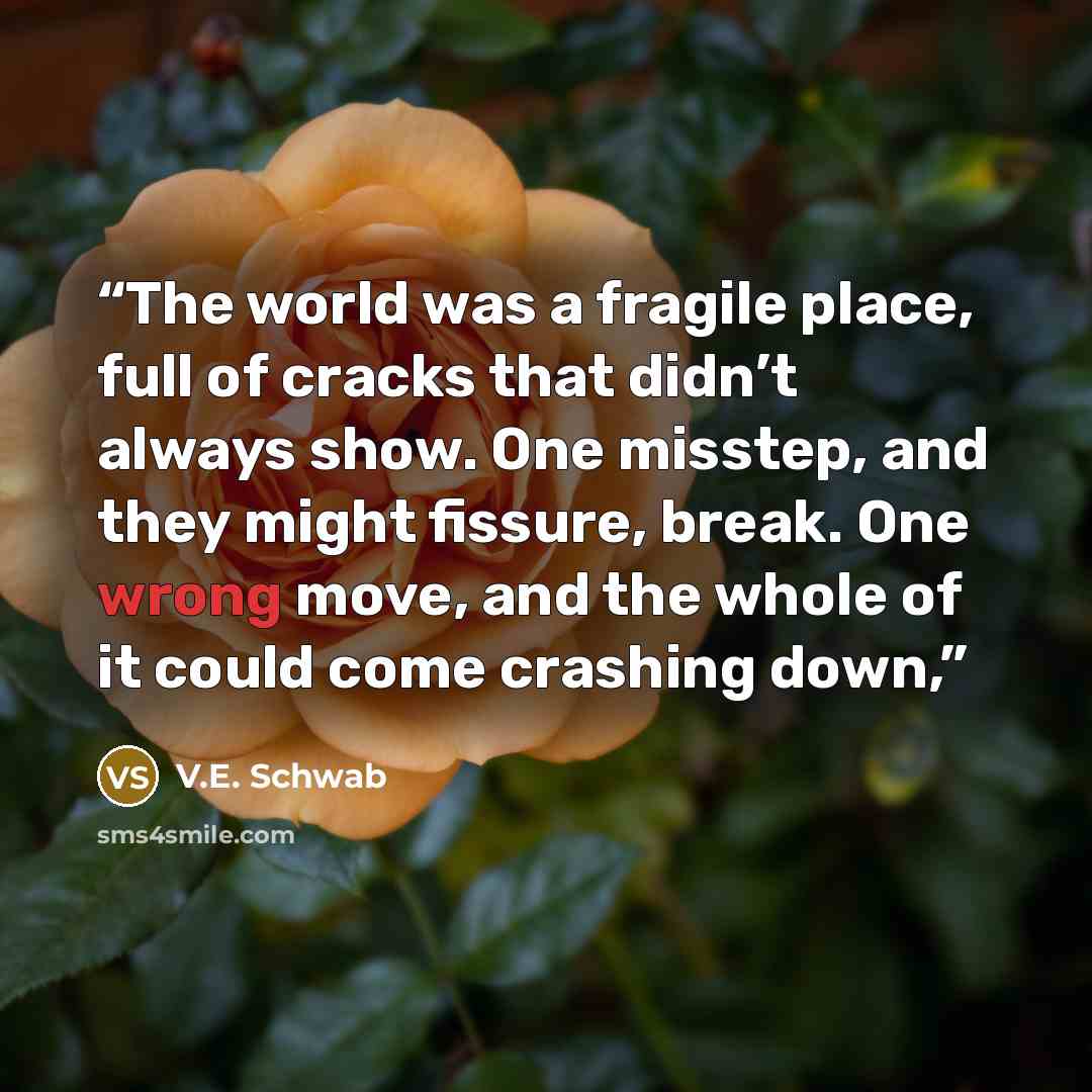 “The world was a fragile place, full of cracks that didn’t always show. One misstep, and they might fissure, break. One wrong move, and the whole of it could come crashing down,” quote by V.E. Schwab