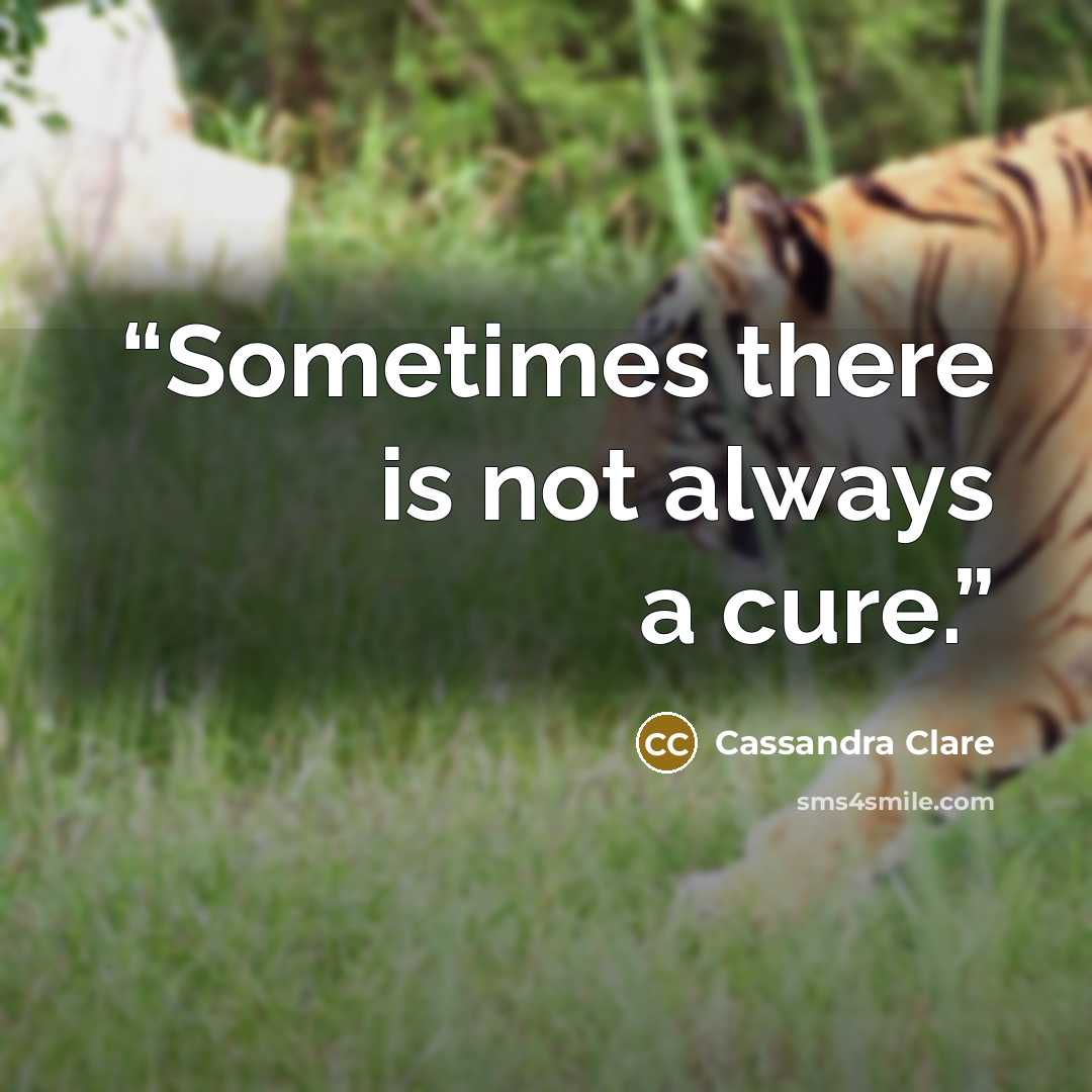 “Sometimes there is not always a cure.” quote by Cassandra Clare