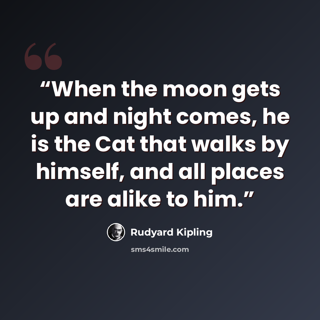 “When the moon gets up and night comes, he is the Cat that walks by himself, and all places are alike to him.” quote by Rudyard Kipling