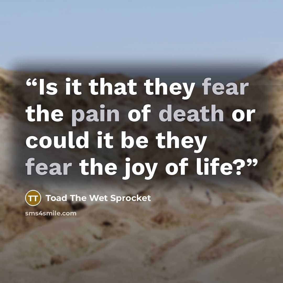 “Is it that they fear the pain of death or could it be they fear the joy of life?” quote by Toad The Wet Sprocket
