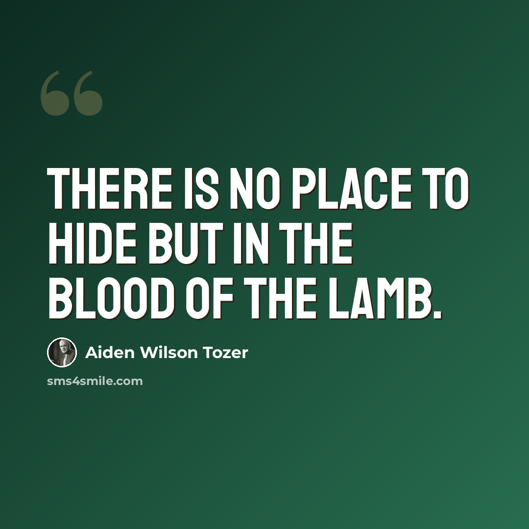 “There is no place to hide but in the blood of the Lamb.” quote by Aiden Wilson Tozer
