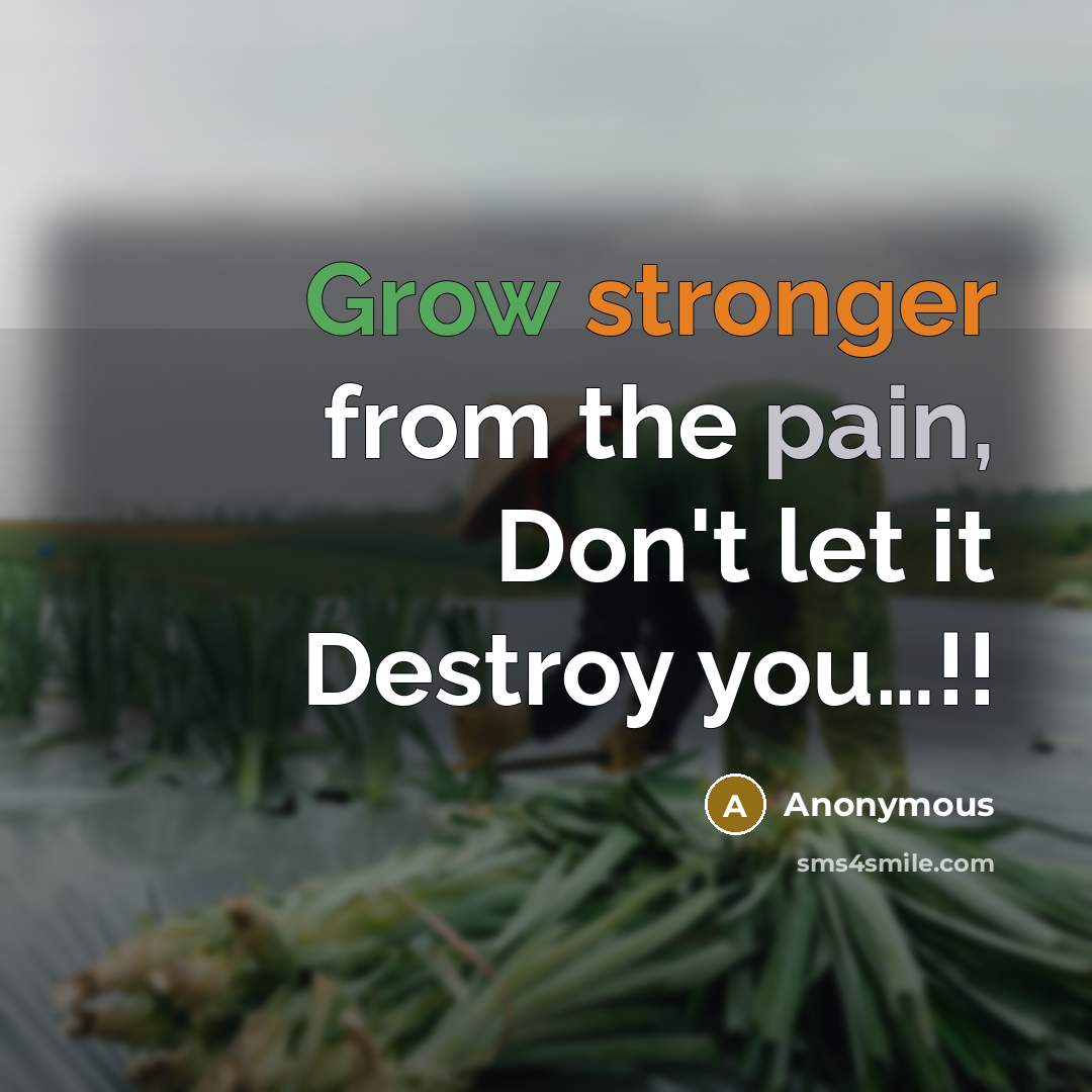 “Grow stronger from the pain, Don't let it Destroy you…!!” quote by Anonymous
