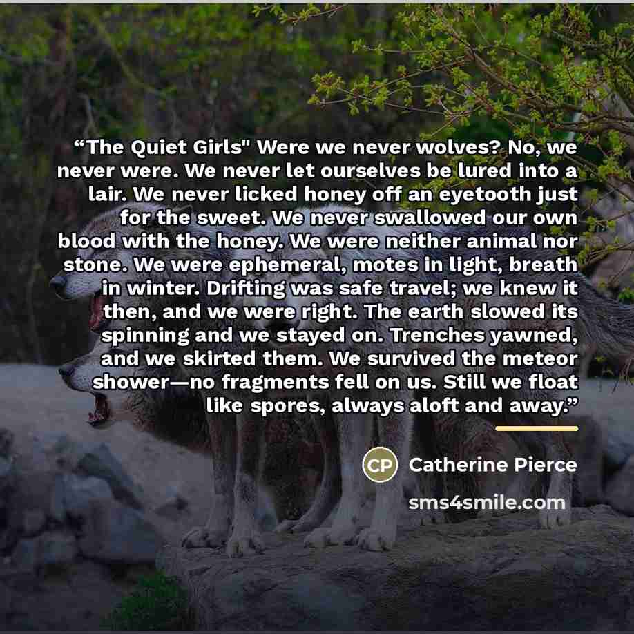 “The Quiet Girls" Were we never wolves? No, we never were. We never let ourselves be lured into a lair. We never licked honey off an eyetooth just for the sweet. We never swallowed our own blood with the honey. We were neither animal nor stone. We were ephemeral, motes in light, breath in winter…” quote by CATHERINE PIERCE