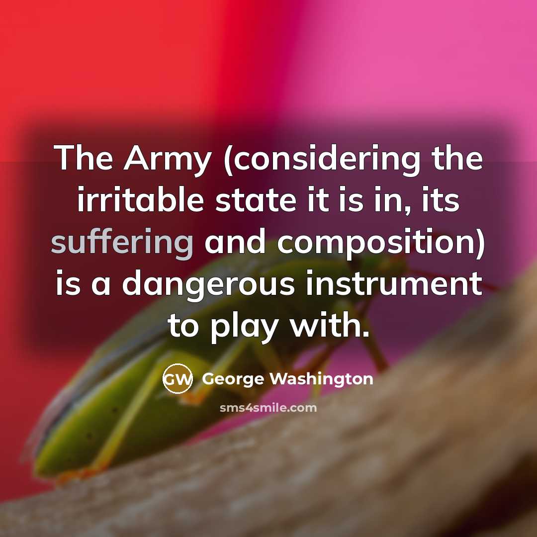 “The Army (considering the irritable state it is in, its suffering and composition) is a dangerous instrument to play with.” quote by George Washington