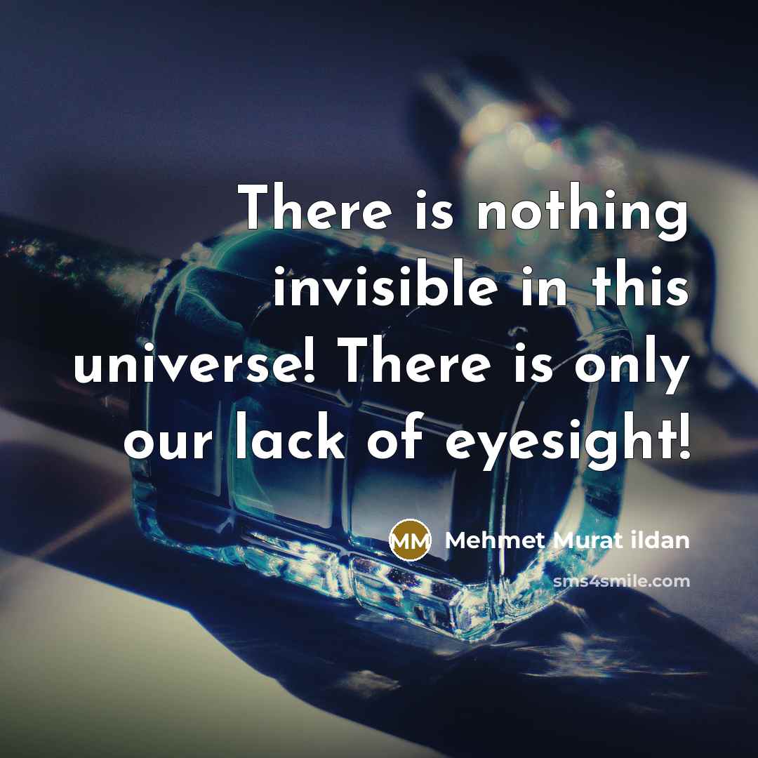 “There is nothing invisible in this universe! There is only our lack of eyesight!” quote by Mehmet Murat Ildan