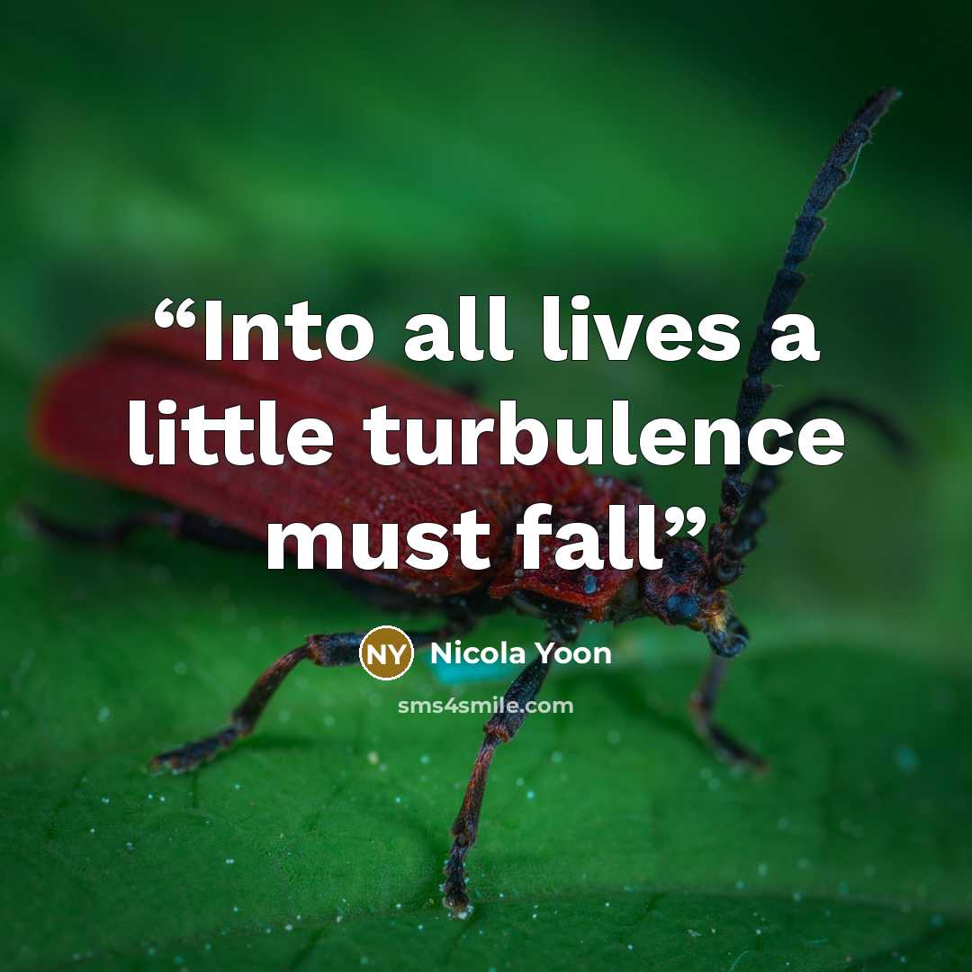 “Into all lives a little turbulence must fall” quote by Nicola Yoon