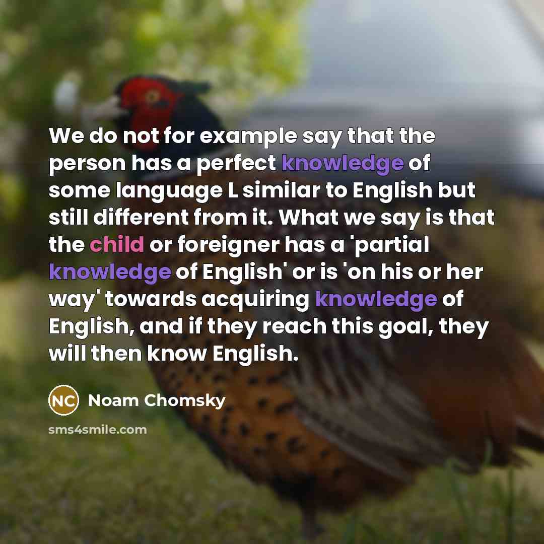 “We do not for example say that the person has a perfect knowledge of some language L similar to English but still different from it. What we say is that the child or foreigner has a 'partial knowledge of English' or is 'on his or her way' towards acquiring knowledge of English, and if they reach…” quote by Noam Chomsky