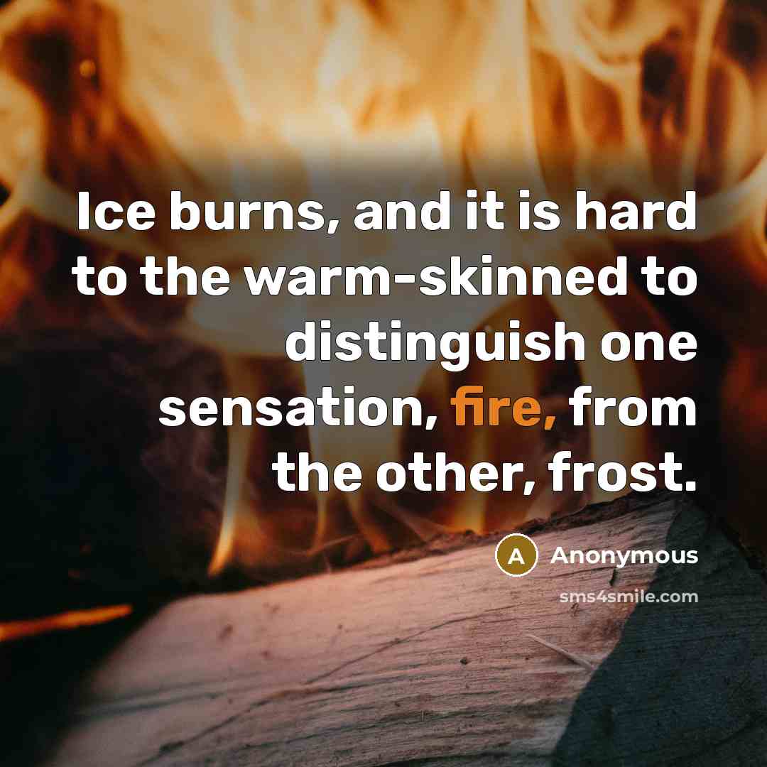 “Ice burns, and it is hard to the warm-skinned to distinguish one sensation, fire, from the other, frost.” quote by Anonymous