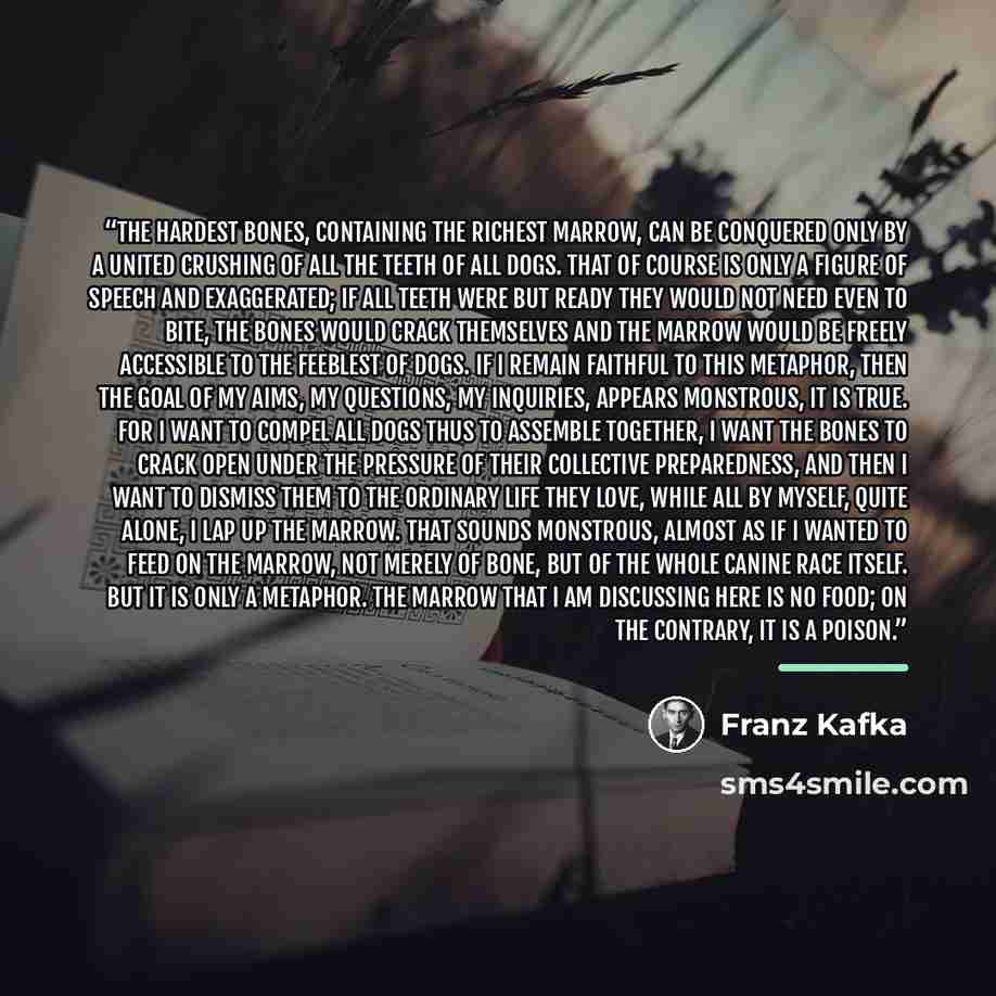 “The hardest bones, containing the richest marrow, can be conquered only by a united crushing of all the teeth of all dogs. That of course is only a figure of speech and exaggerated; if all teeth were but ready they would not need even to bite, the bones would crack themselves and the marrow would…” quote by Franz Kafka