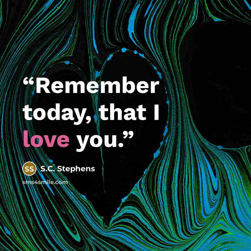 “Remember today, that I love you.” quote by S.C. Stephens
