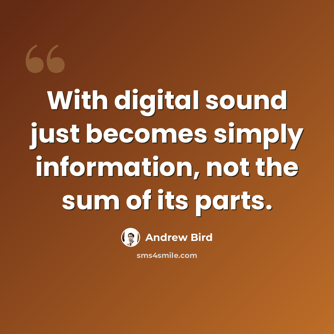 “With digital sound just becomes simply information, not the sum of its parts.” quote by Andrew Bird