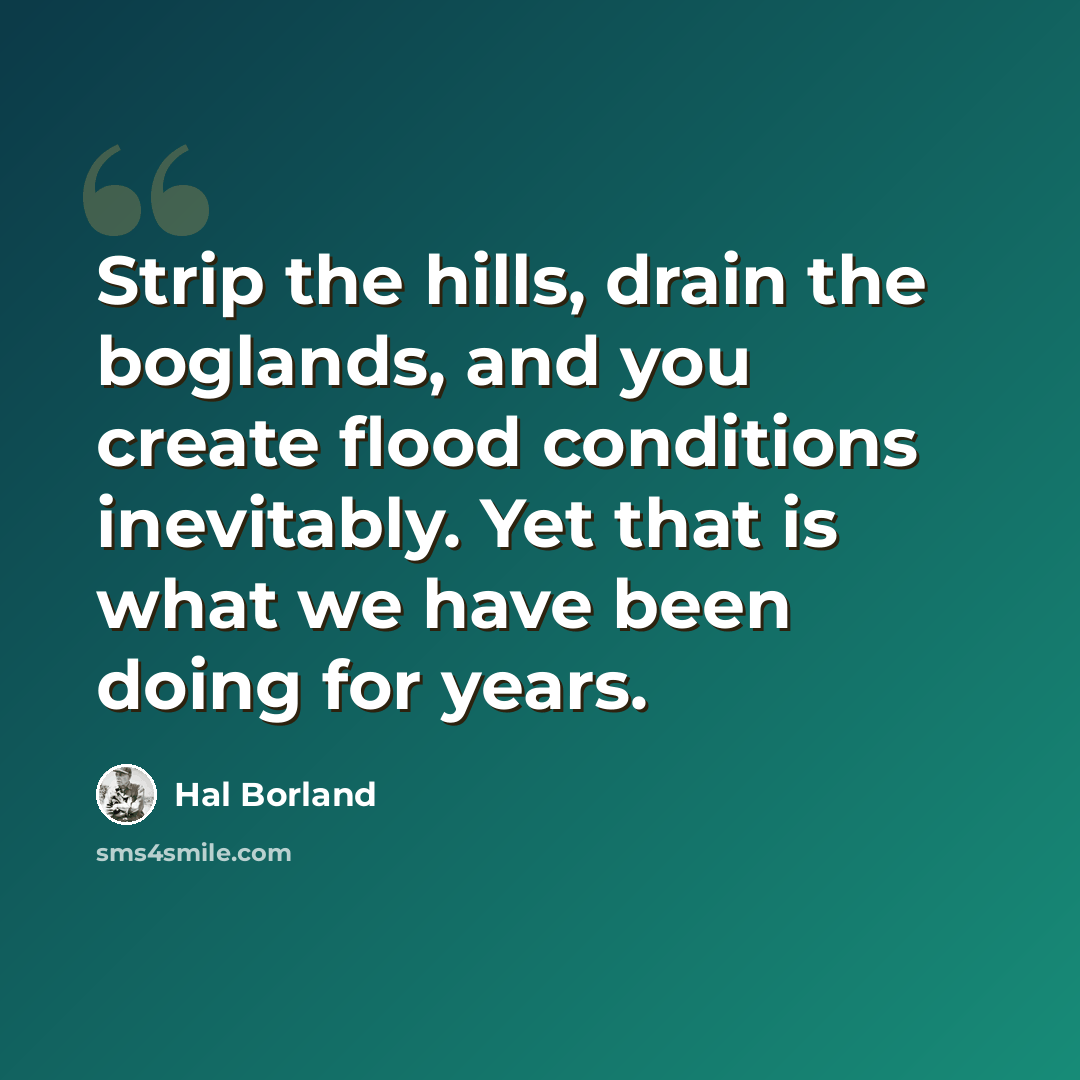 “Strip the hills, drain the boglands, and you create flood conditions inevitably. Yet that is what we have been doing for years.” quote by Hal Borland