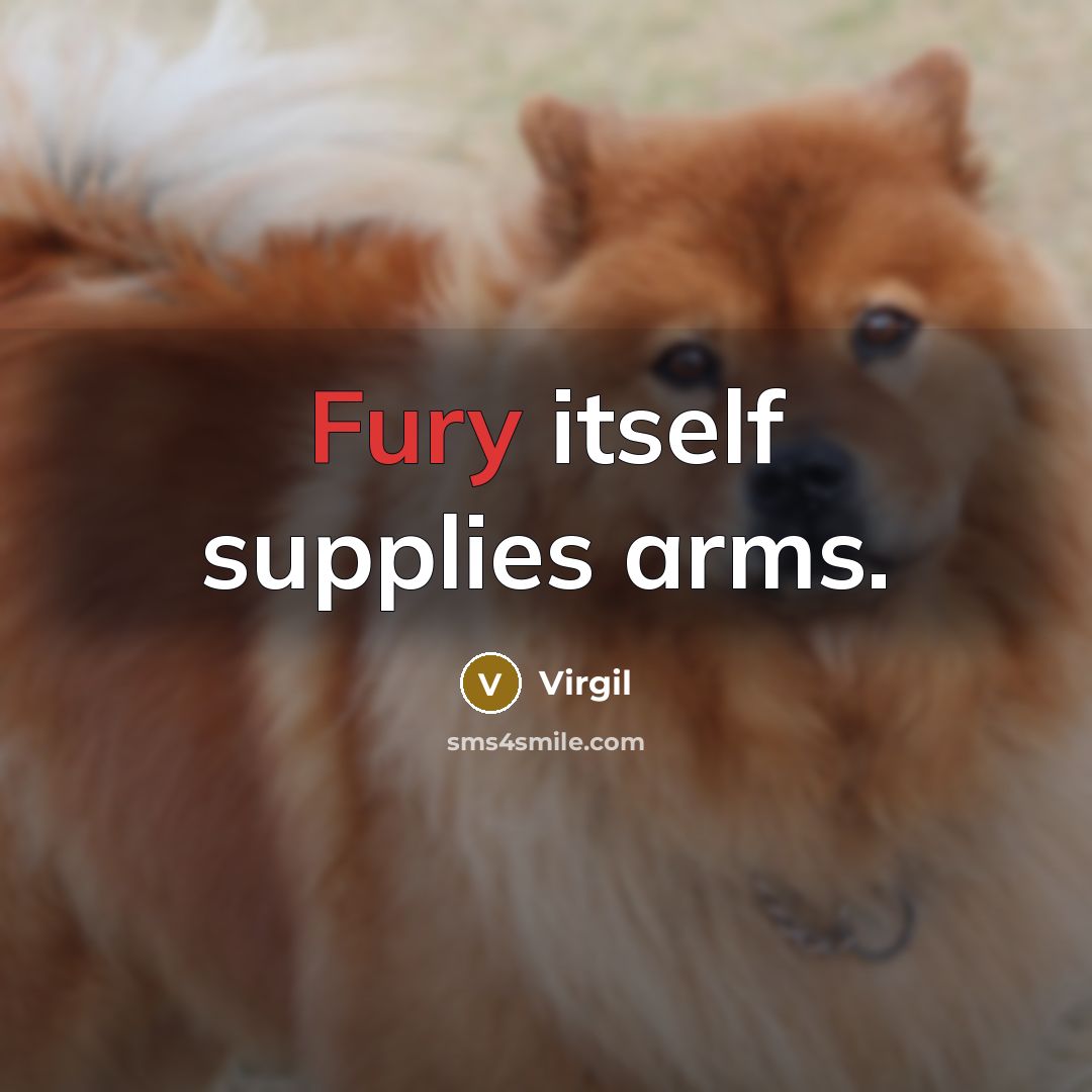 “Fury itself supplies arms.” quote by Virgil