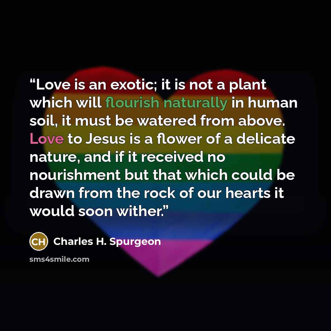 “Love is an exotic; it is not a plant which will flourish naturally in human soil, it must be watered from above. Love to Jesus is a flower of a delicate nature, and if it received no nourishment but that which could be drawn from the rock of our hearts it would soon wither.” quote by Charles H. Spurgeon