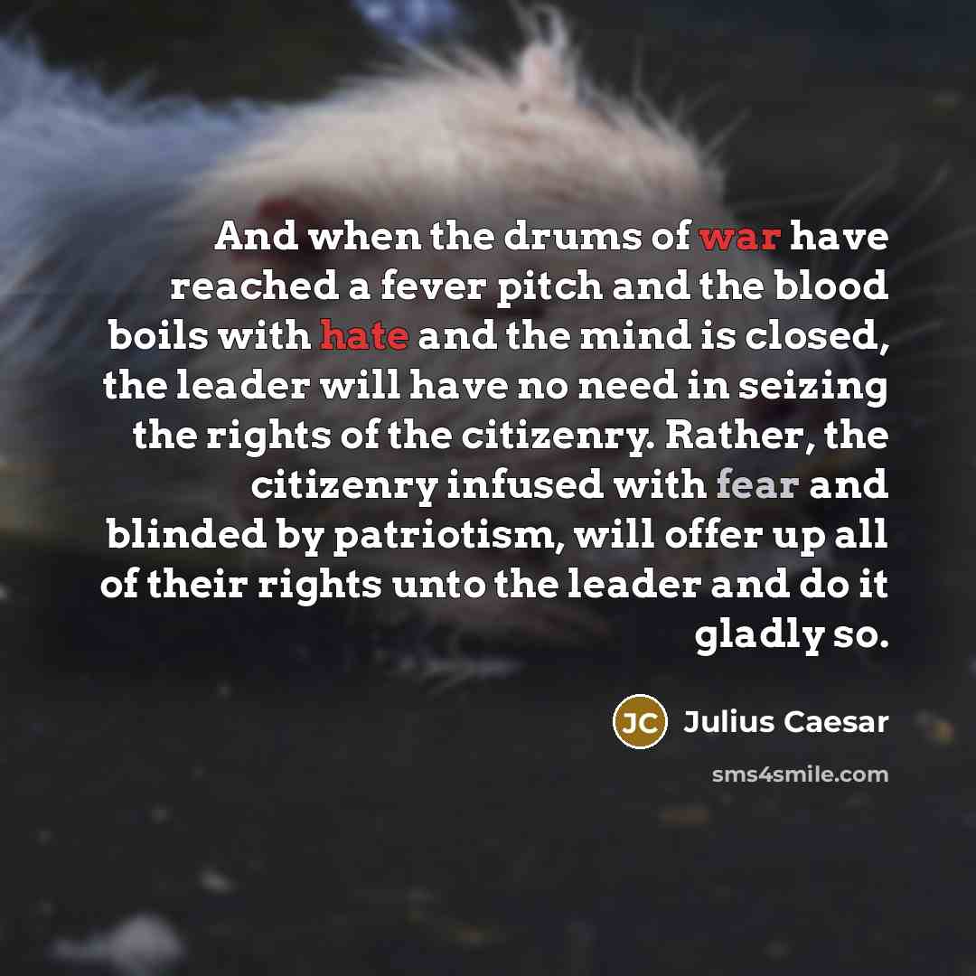 “And when the drums of war have reached a fever pitch and the blood boils with hate and the mind is closed, the leader will have no need in seizing the rights of the citizenry. Rather, the citizenry infused with fear and blinded by patriotism, will offer up all of their rights unto the leader and…” quote by Julius Caesar
