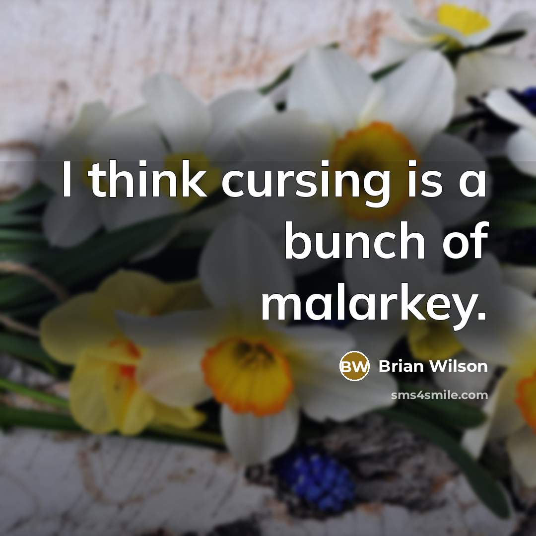 “I think cursing is a bunch of malarkey.” quote by Brian Wilson