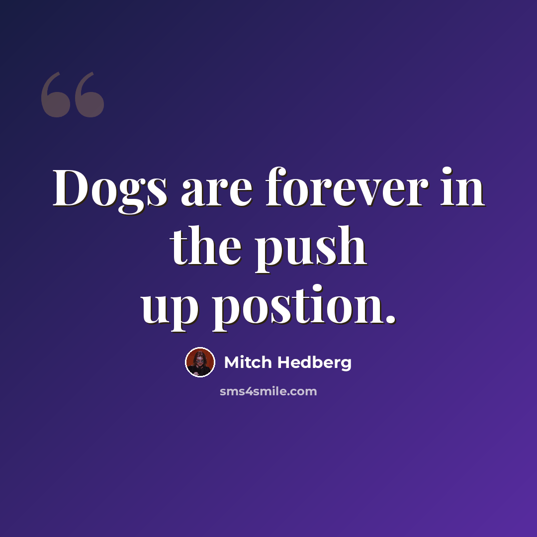 “Dogs are forever in the push up postion.” quote by Mitch Hedberg