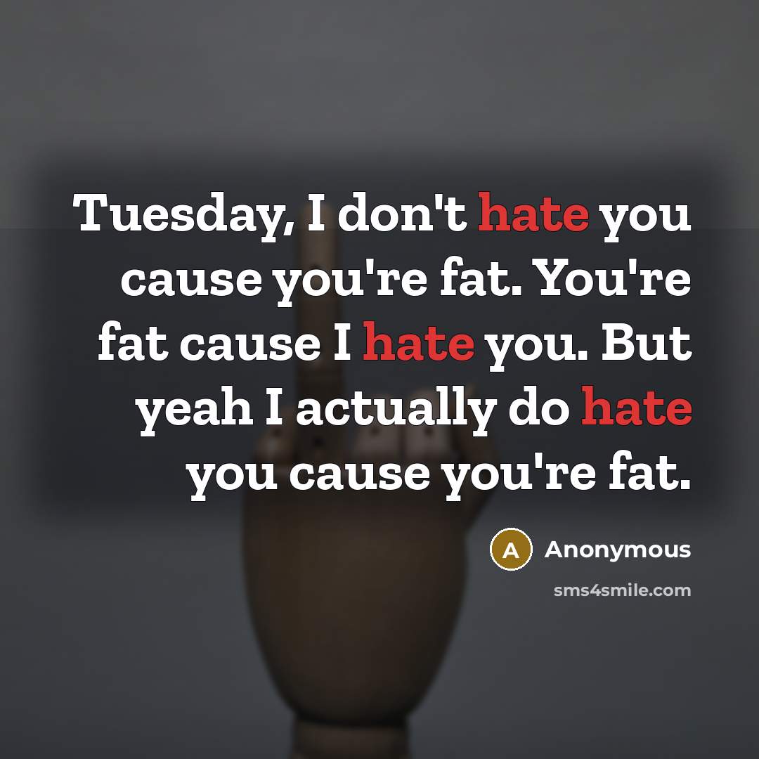 “Tuesday, I don't hate you cause you're fat. You're fat cause I hate you. But yeah I actually do hate you cause you're fat.” quote by Anonymous