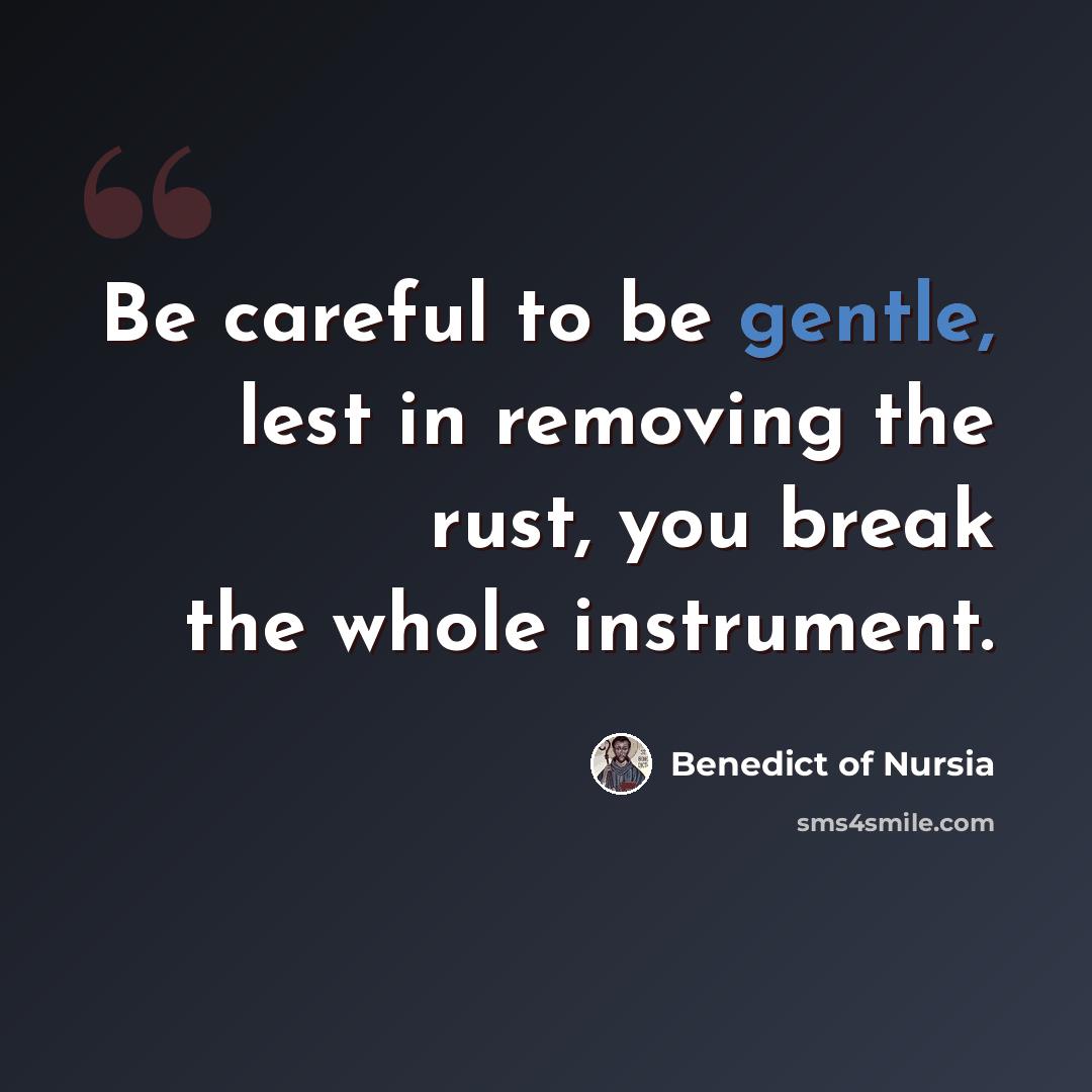 “Be careful to be gentle, lest in removing the rust, you break the whole instrument.” quote by Benedict of Nursia