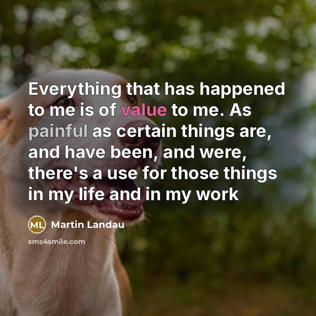 “Everything that has happened to me is of value to me. As painful as certain things are, and have been, and were, there's a use for those things in my life and in my work” quote by Martin Landau