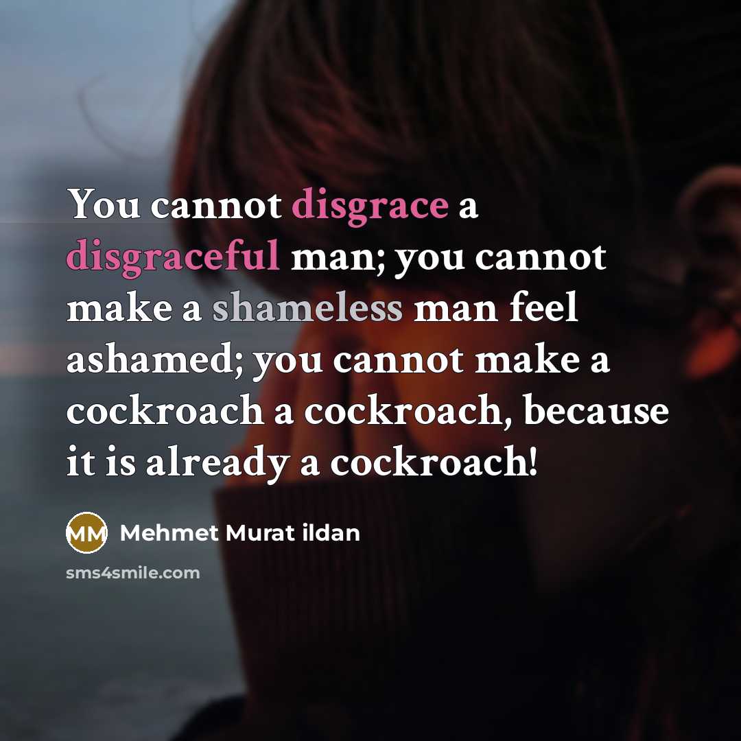 “You cannot disgrace a disgraceful man; you cannot make a shameless man feel ashamed; you cannot make a cockroach a cockroach, because it is already a cockroach!” quote by Mehmet Murat Ildan