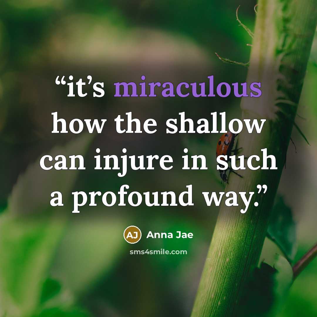 “it’s miraculous how the shallow can injure in such a profound way.” quote by Anna Jae