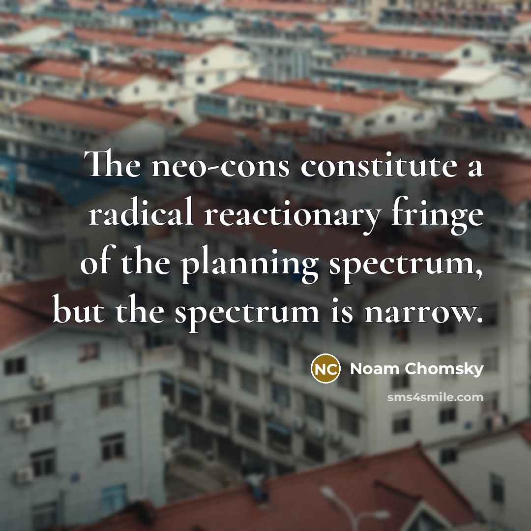 “The neo-cons constitute a radical reactionary fringe of the planning spectrum, but the spectrum is narrow.” quote by Noam Chomsky