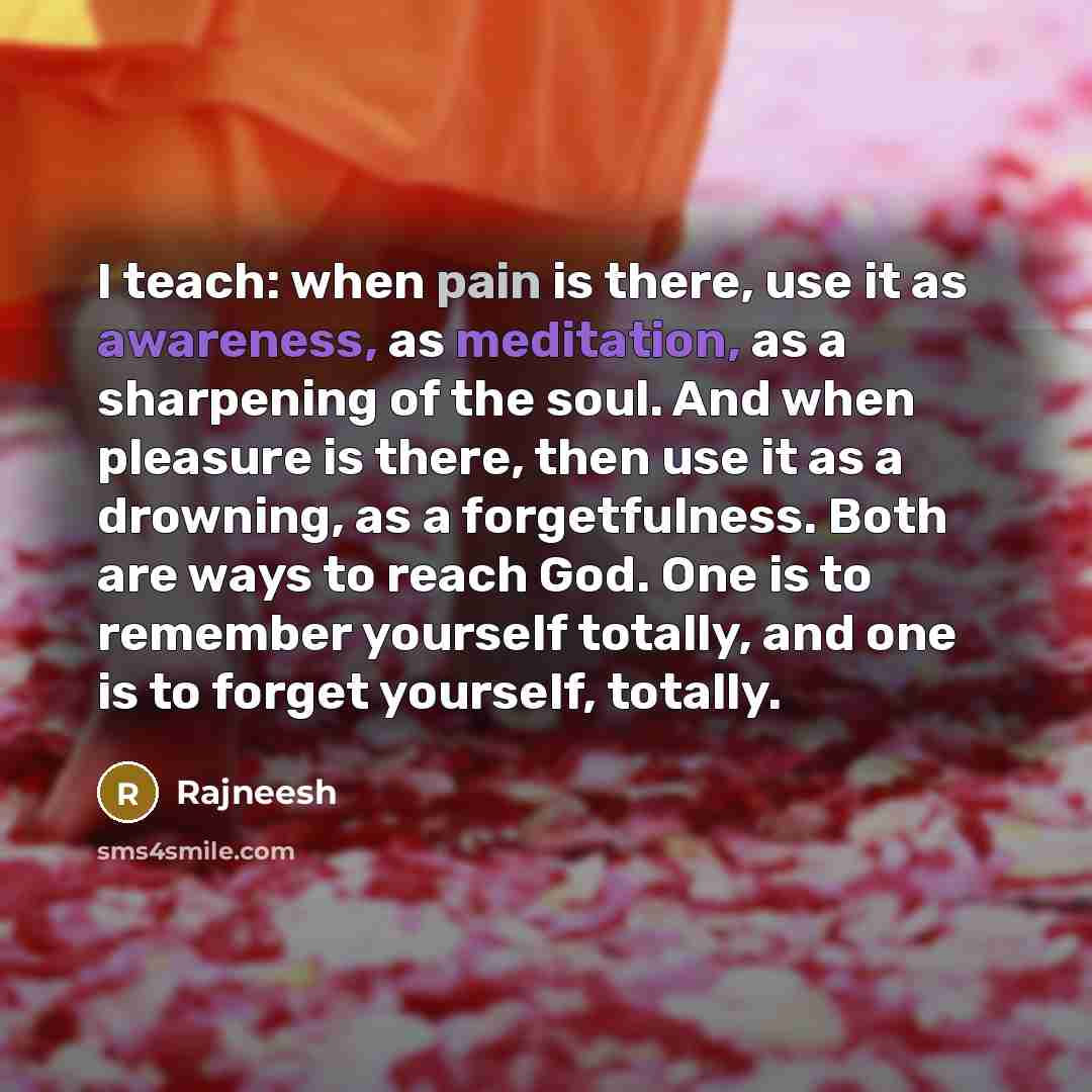 “I teach: when pain is there, use it as awareness, as meditation, as a sharpening of the soul. And when pleasure is there, then use it as a drowning, as a forgetfulness. Both are ways to reach God. One is to remember yourself totally, and one is to forget yourself, totally.” quote by Rajneesh