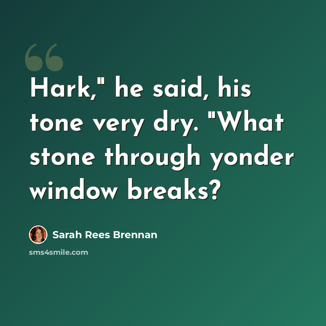 “Hark," he said, his tone very dry. "What stone through yonder window breaks?” quote by Sarah Rees Brennan