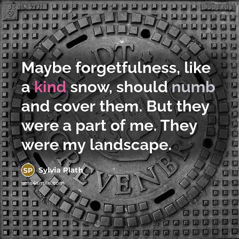 “Maybe forgetfulness, like a kind snow, should numb and cover them. But they were a part of me. They were my landscape.” quote by Sylvia Plath