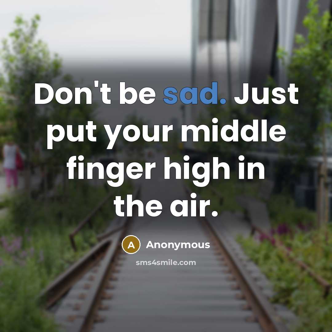 “Don't be sad. Just put your middle finger high in the air.” quote by Anonymous