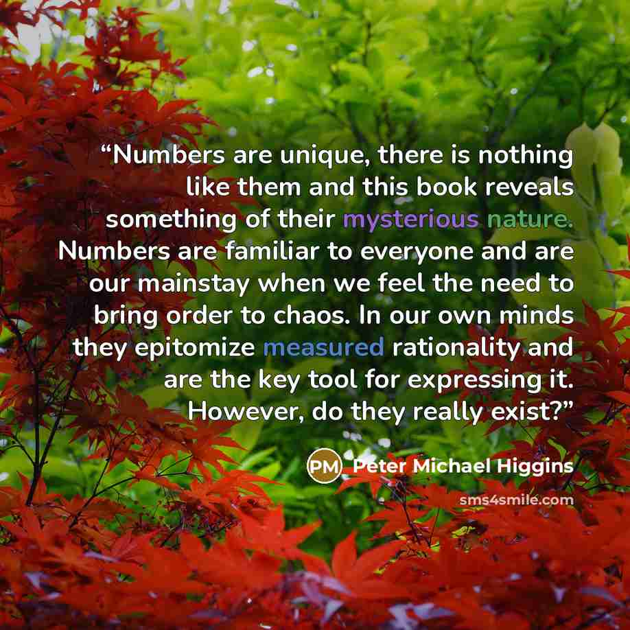 “Numbers are unique, there is nothing like them and this book reveals something of their mysterious nature. Numbers are familiar to everyone and are our mainstay when we feel the need to bring order to chaos. In our own minds they epitomize measured rationality and are the key tool for expressing…” quote by Peter Michael Higgins