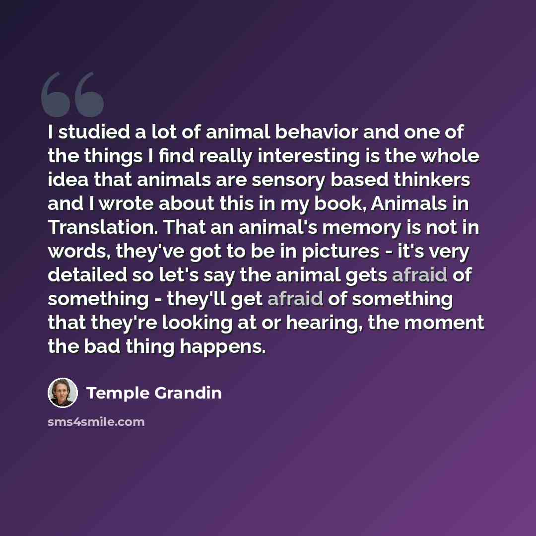 “I studied a lot of animal behavior and one of the things I find really interesting is the whole idea that animals are sensory based thinkers and I wrote about this in my book, Animals in Translation. That an animal's memory is not in words, they've got to be in pictures - it's very detailed so…” quote by Temple Grandin