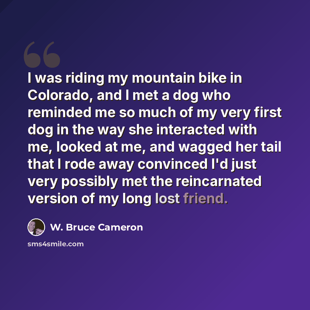 “I was riding my mountain bike in Colorado, and I met a dog who reminded me so much of my very first dog in the way she interacted with me, looked at me, and wagged her tail that I rode away convinced I'd just very possibly met the reincarnated version of my long lost friend.” quote by W. Bruce Cameron