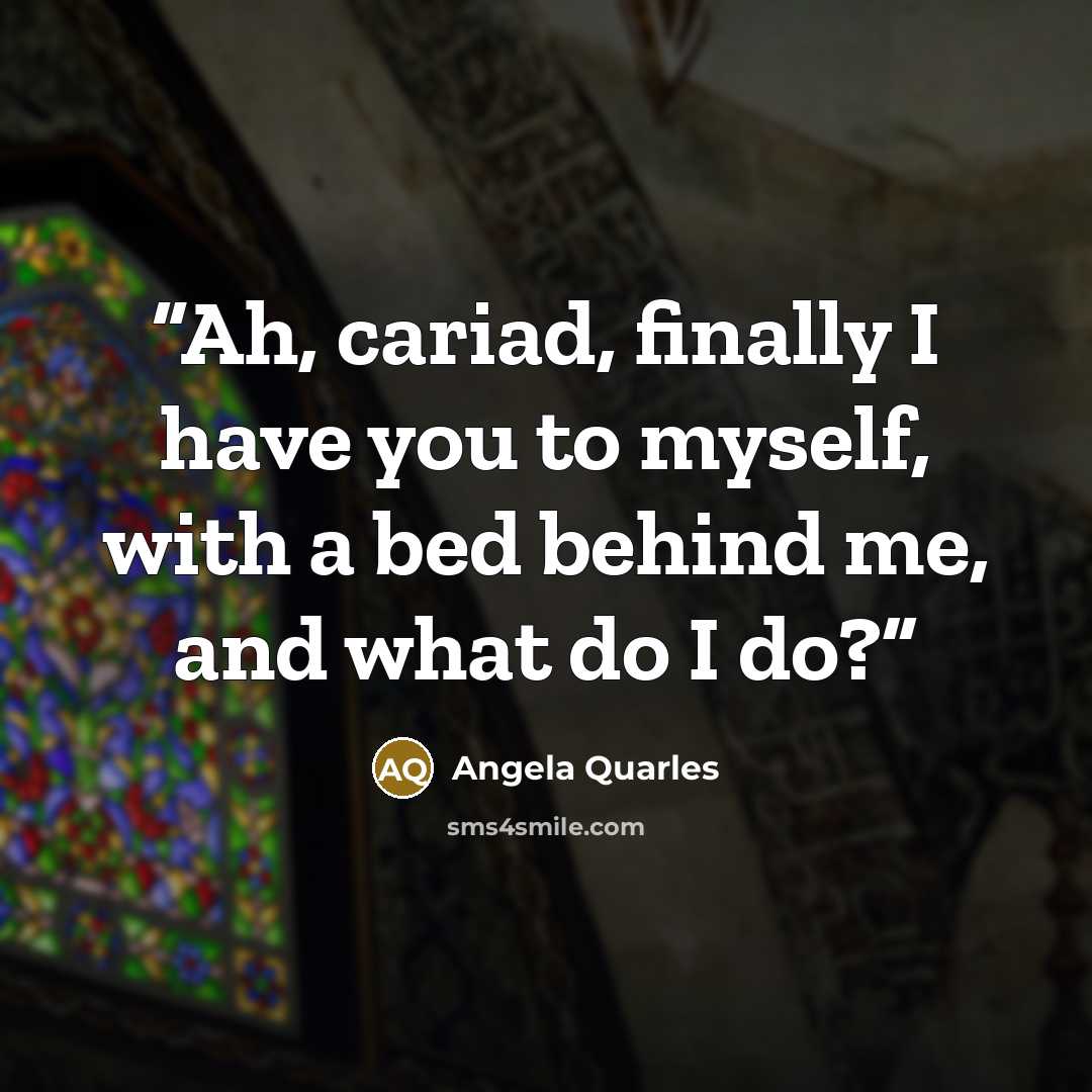 “Ah, cariad, finally I have you to myself, with a bed behind me, and what do I do?” quote by Angela Quarles