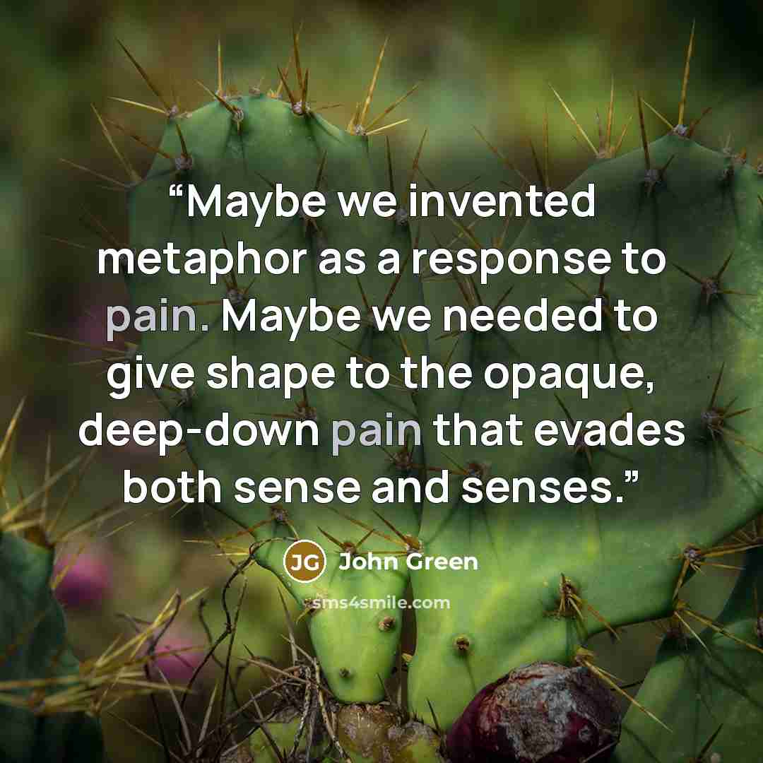 “Maybe we invented metaphor as a response to pain. Maybe we needed to give shape to the opaque, deep-down pain that evades both sense and senses.” quote by John Green