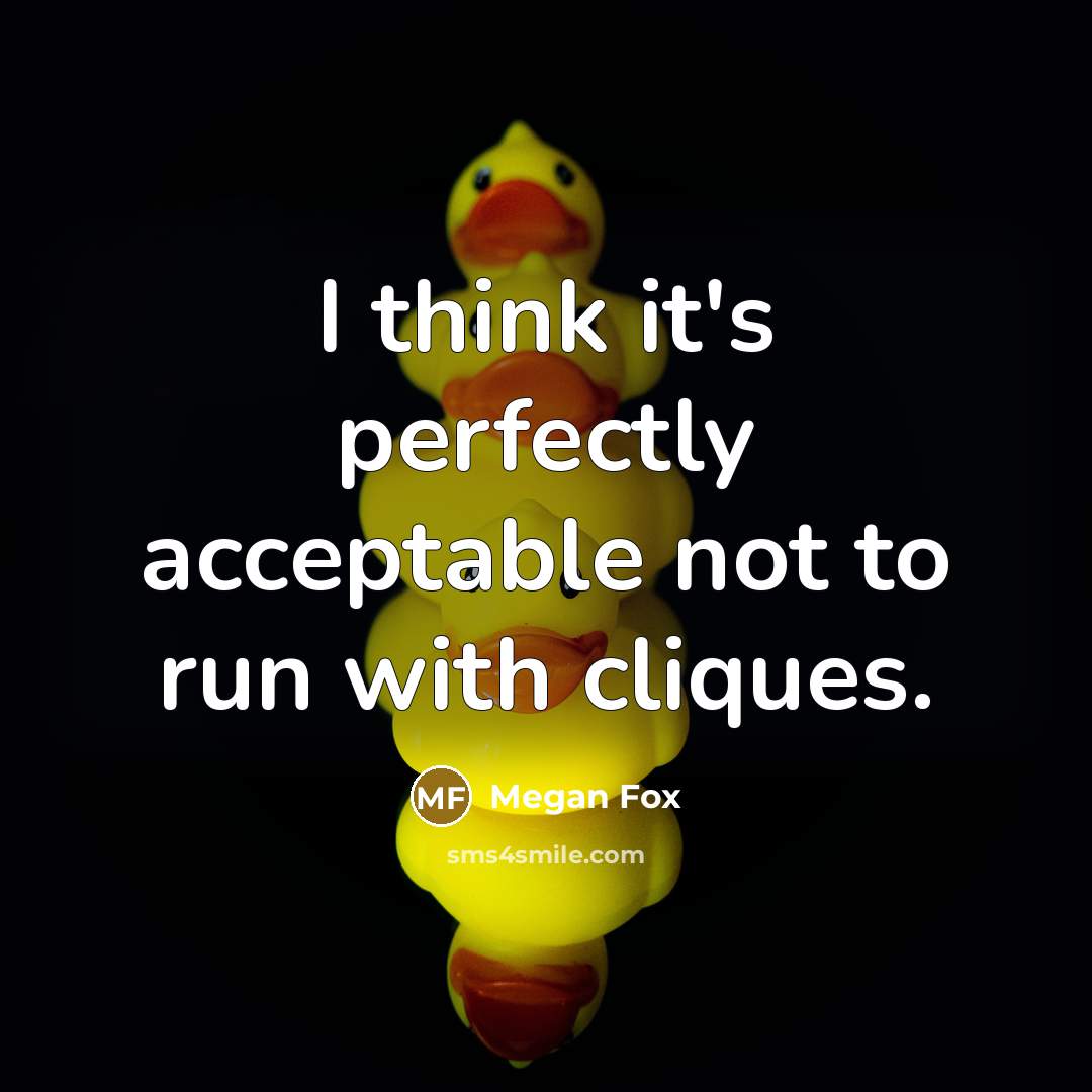 “I think it's perfectly acceptable not to run with cliques.” quote by Megan Fox
