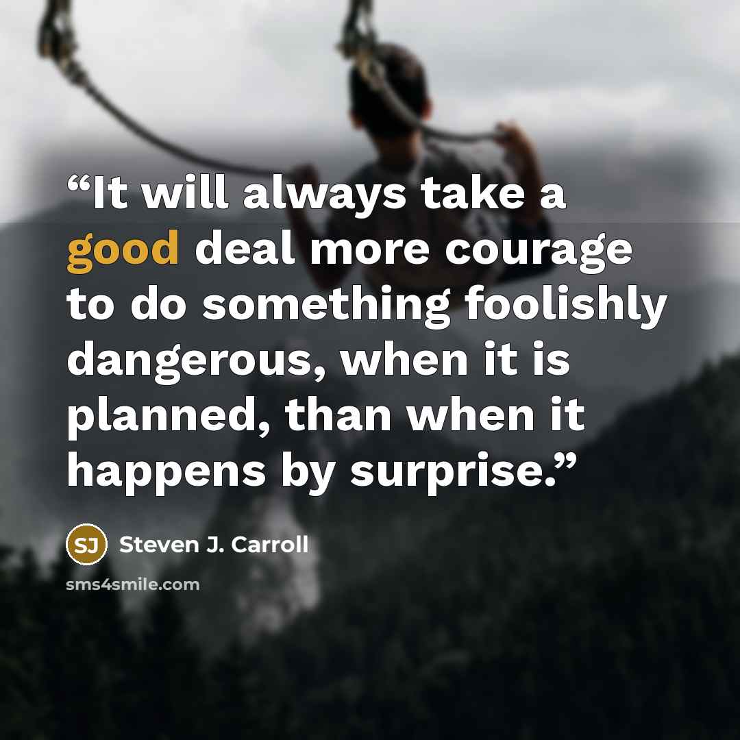 “It will always take a good deal more courage to do something foolishly dangerous, when it is planned, than when it happens by surprise.” quote by Steven J. Carroll