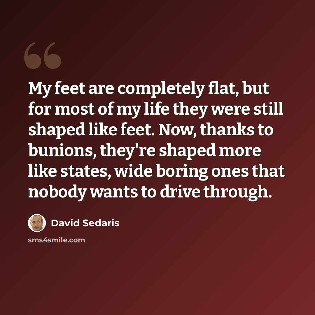 “My feet are completely flat, but for most of my life they were still shaped like feet. Now, thanks to bunions, they're shaped more like states, wide boring ones that nobody wants to drive through.” quote by David Sedaris